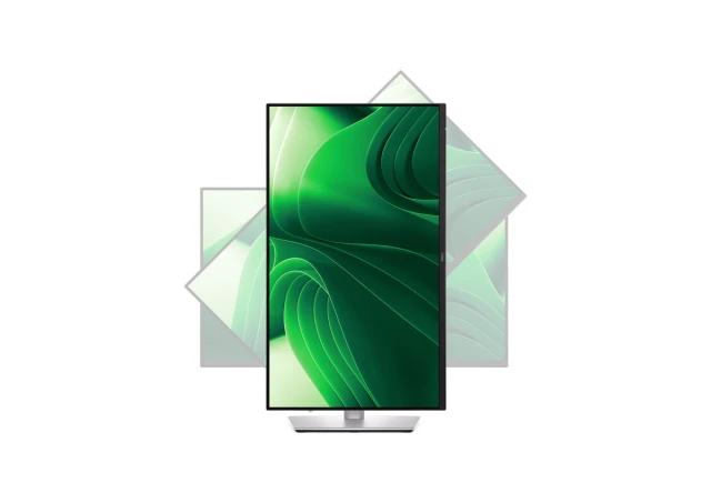 DELL 23.8 inch P2425D QHD 100Hz Pro Plus IPS monitor