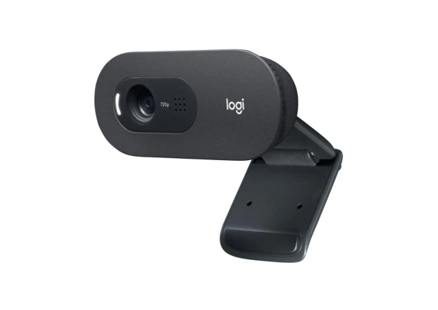 LOGITECH C505E Long Range HD web kamera OEM 