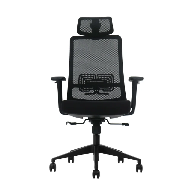 Ergonomska kancelarijska stolica UGD LumbarMax