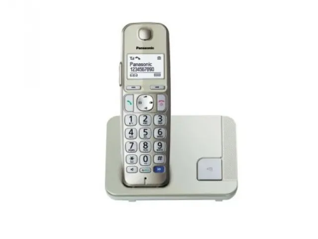 Telefon Panasonic KX-TGE210FXN