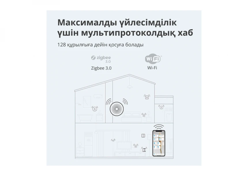 main_image