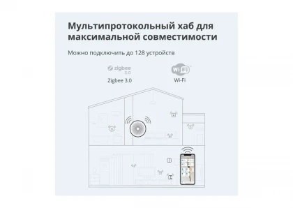 main_image