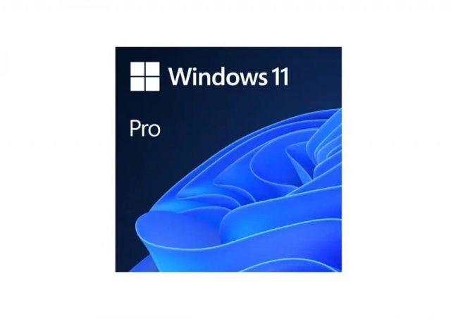 Software GGK Windows 11 Pro 64Bit Eng Int/ DVD/1 PC(4YR-00316)