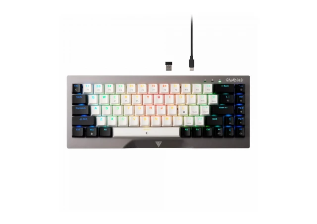 Tastatura Gamdias Hermes M4 Hybrid Mehanička RGB