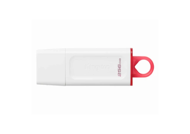 USB memorija KINGSTON KC-U2G256-5R/DataTraveler Exodia/3.2/bela