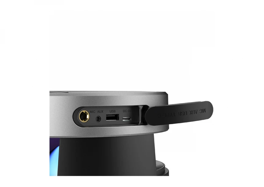 Zvučnik Bluetooth Xwave B TWS/50W/100W
